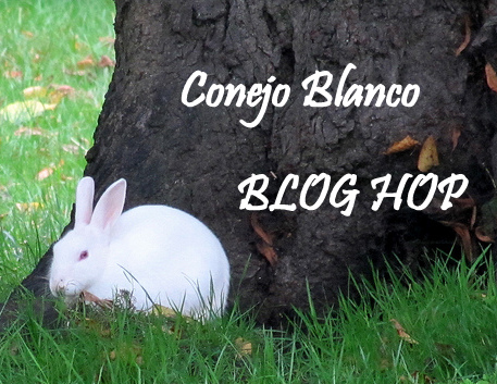 Conejo Blanco