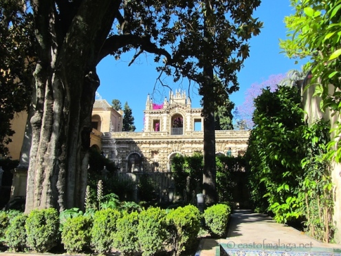 Alcazar gardens, Seville.